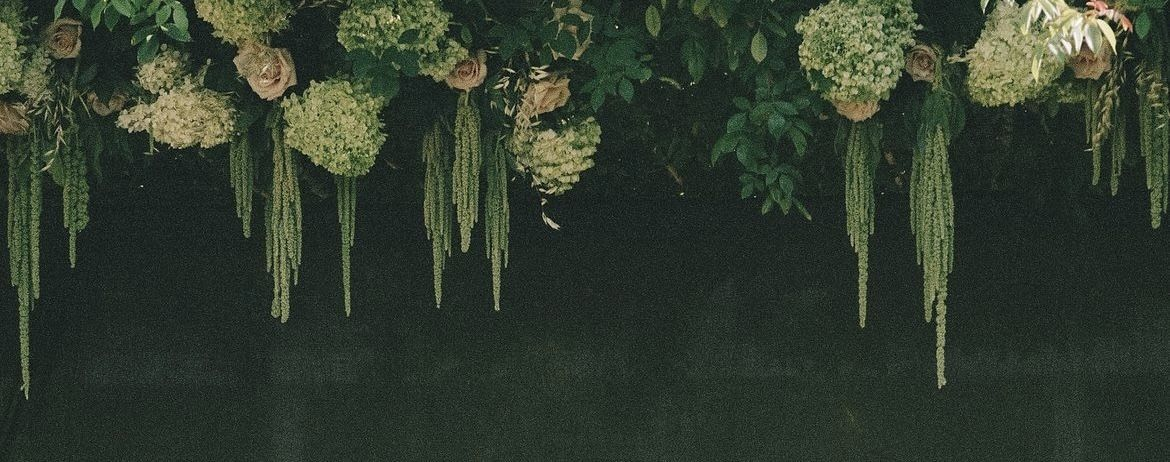 Botanical hanging greenery arrangement